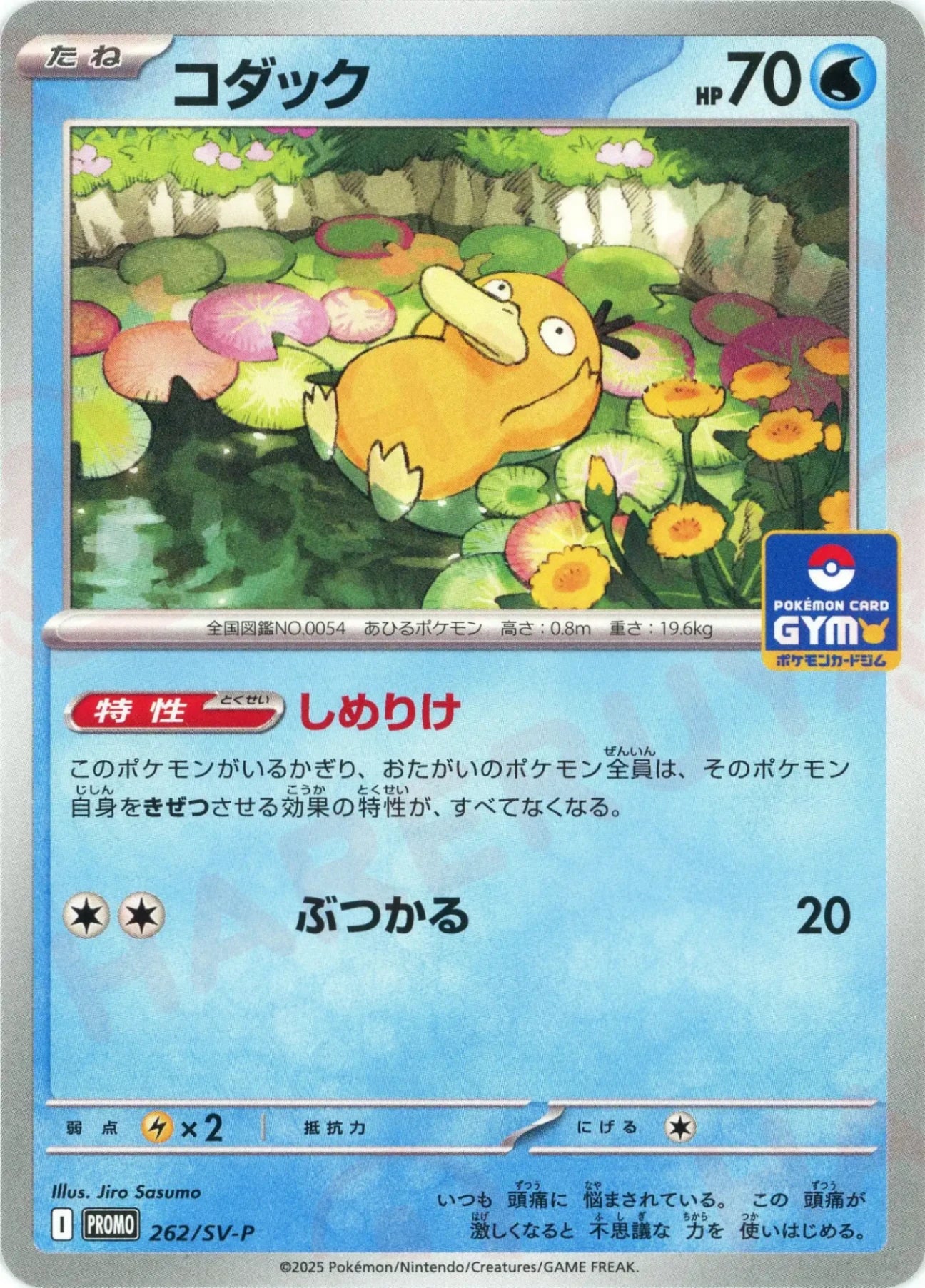コダック(PROMO){水}〈262/SV-P〉[SV-P] – 晴れる屋2 福岡店