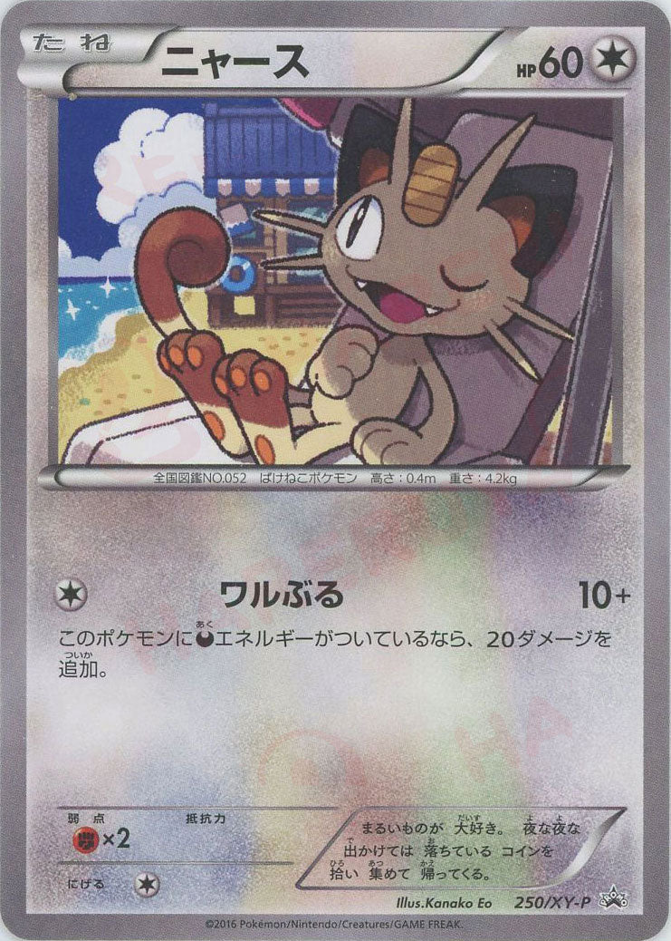 ニャース(PROMO){無}〈250/XY-P〉[XY-P] – 晴れる屋2 福岡店