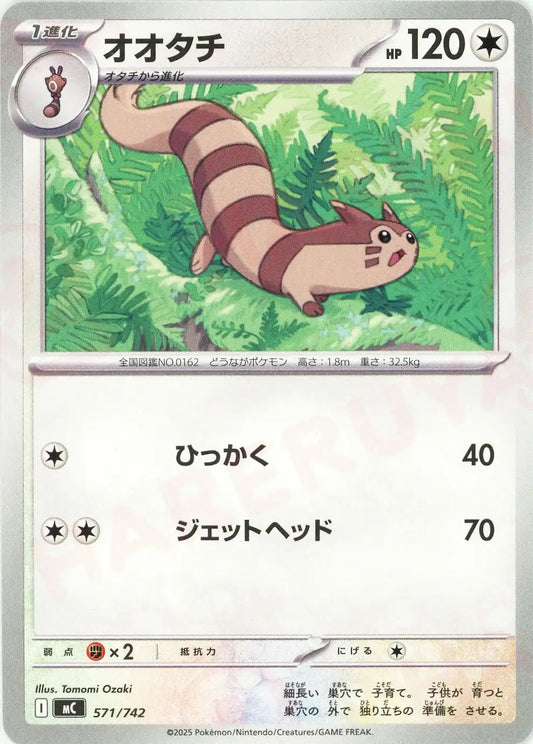 オオタチ(-){無}〈571/742〉[MC]