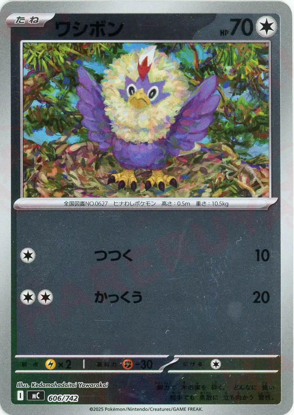 ワシボン:ミラー(-){無}〈606/742〉[MC-M]