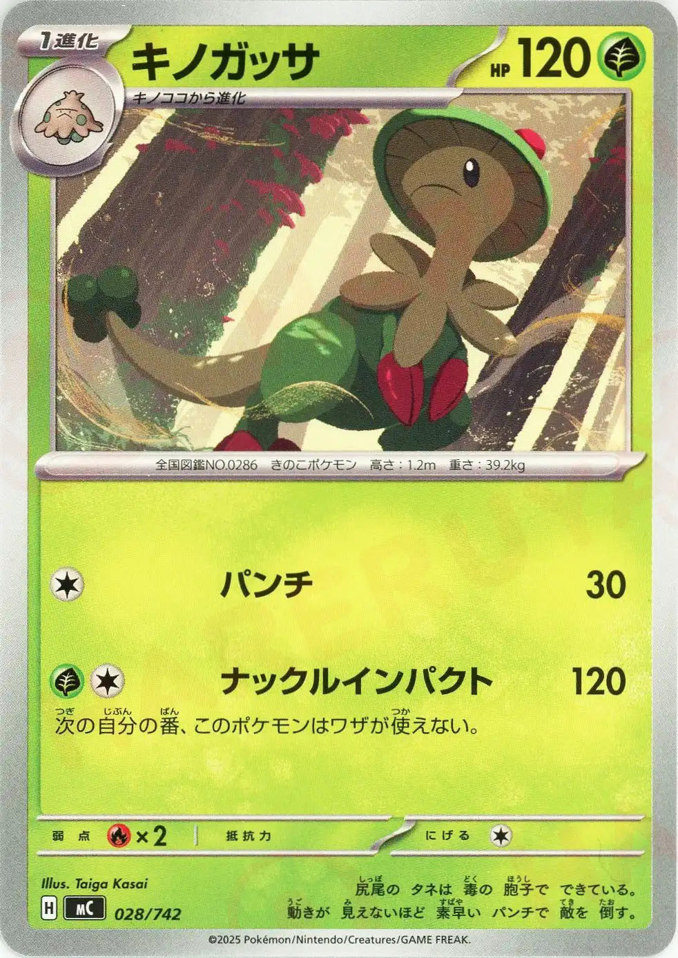 キノガッサ(-){草}〈028/742〉[MC]