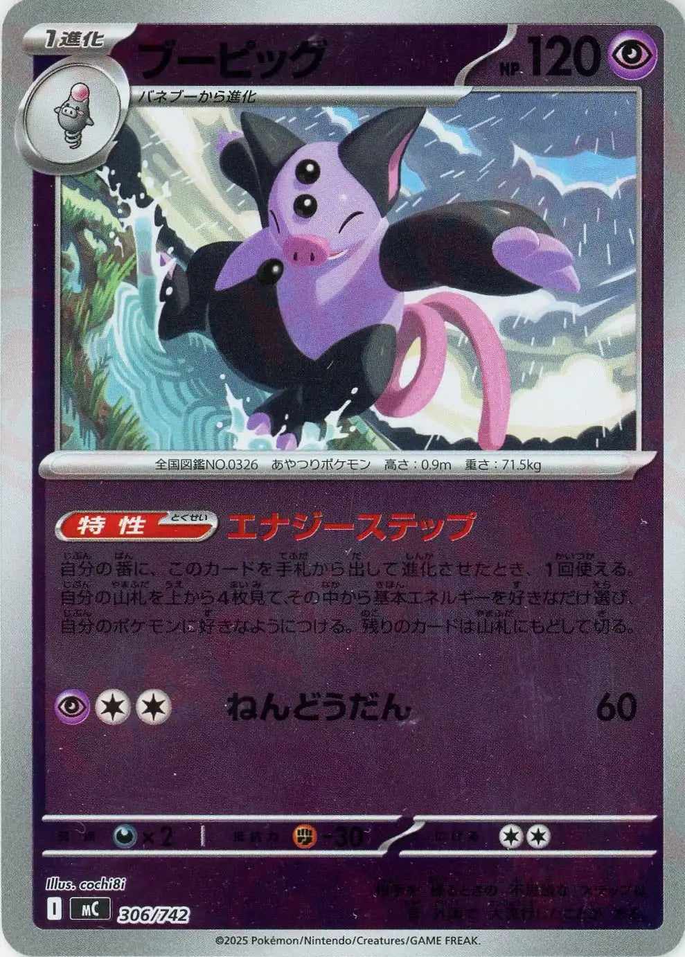 ブーピッグ:ミラー(-){超}〈306/742〉[MC-M]