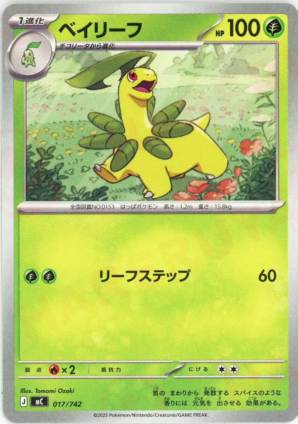 ベイリーフ(-){草}〈017/742〉[MC]