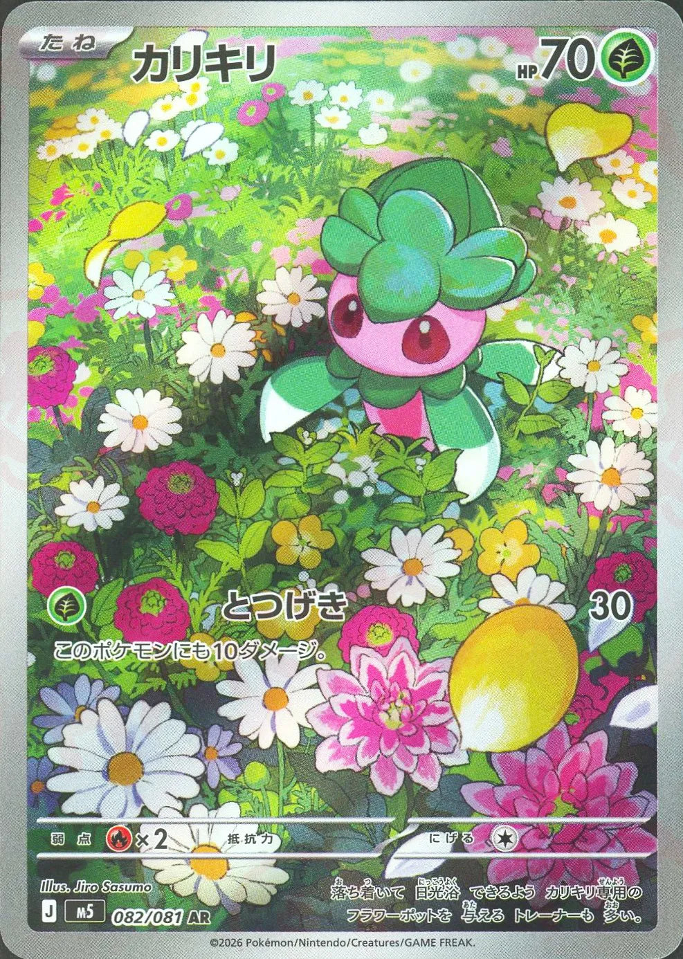 カリキリ(AR){草}〈082/081〉[M5]