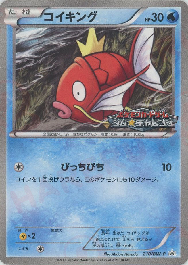 コイキング PROMO BW-Pプロモカード 210/BW-P コイキング(PROMO){水}〈210/BW-P〉[BW-P] – 晴れる屋2 福岡店