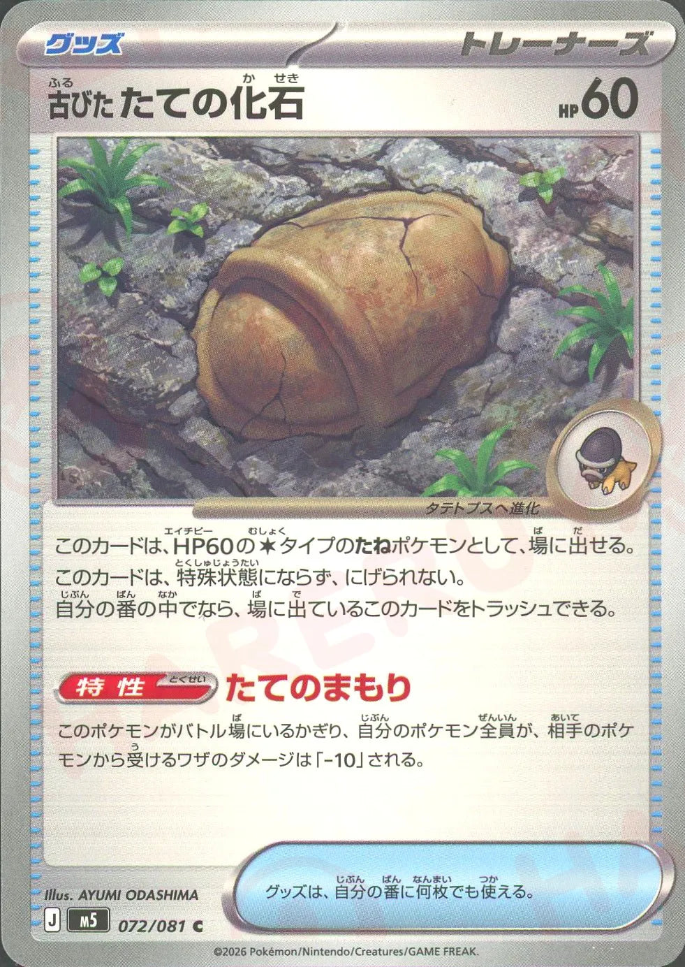 古びたたての化石(C){グッズ}〈072/081〉[M5]