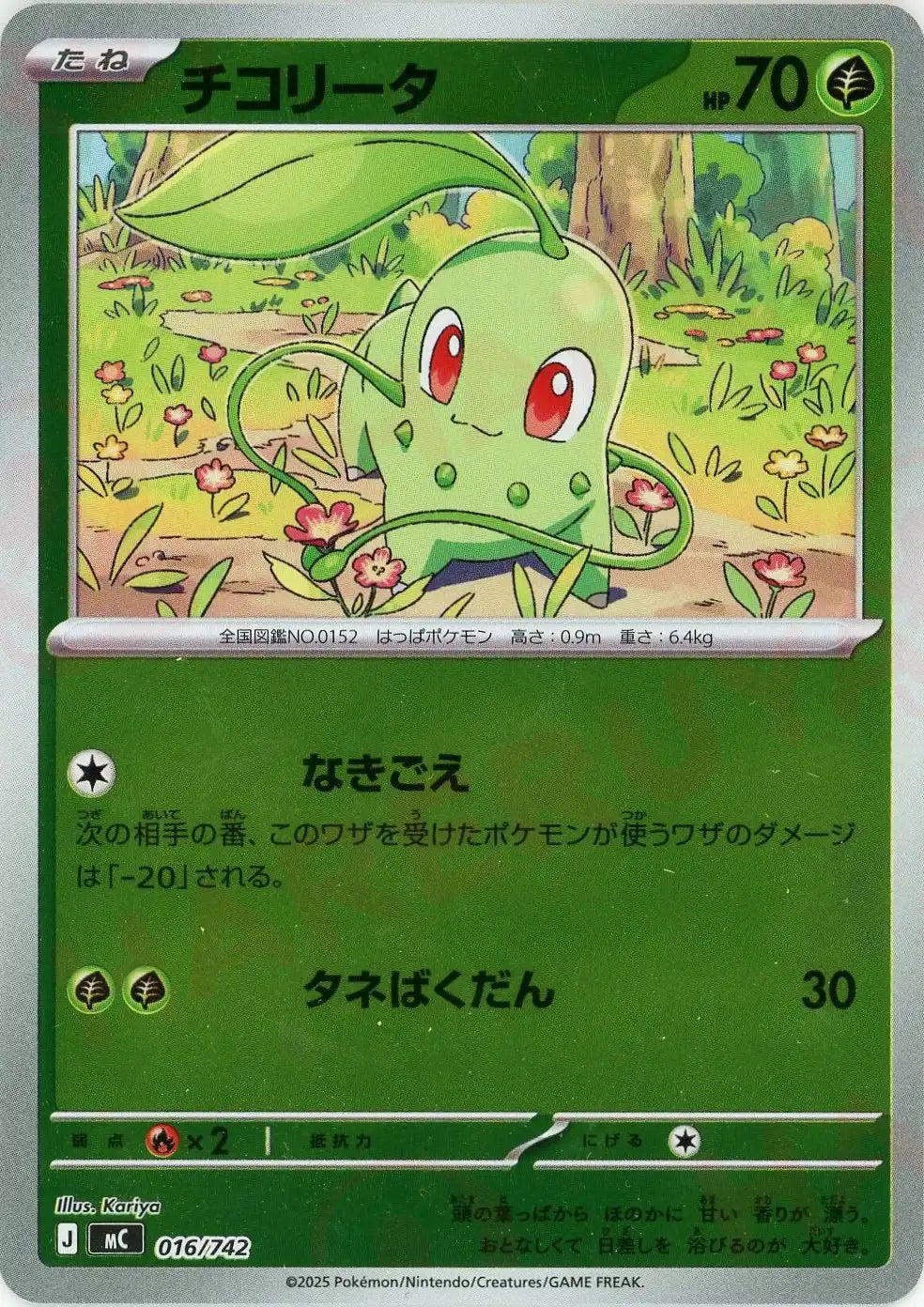 チコリータ:ミラー(-){草}〈016/742〉[MC-M]