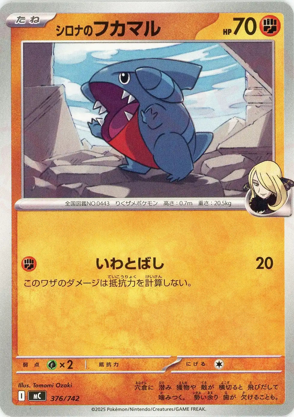 シロナのフカマル(-){闘}〈376/742〉[MC]